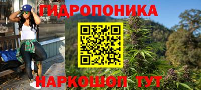 шишки Пушкино