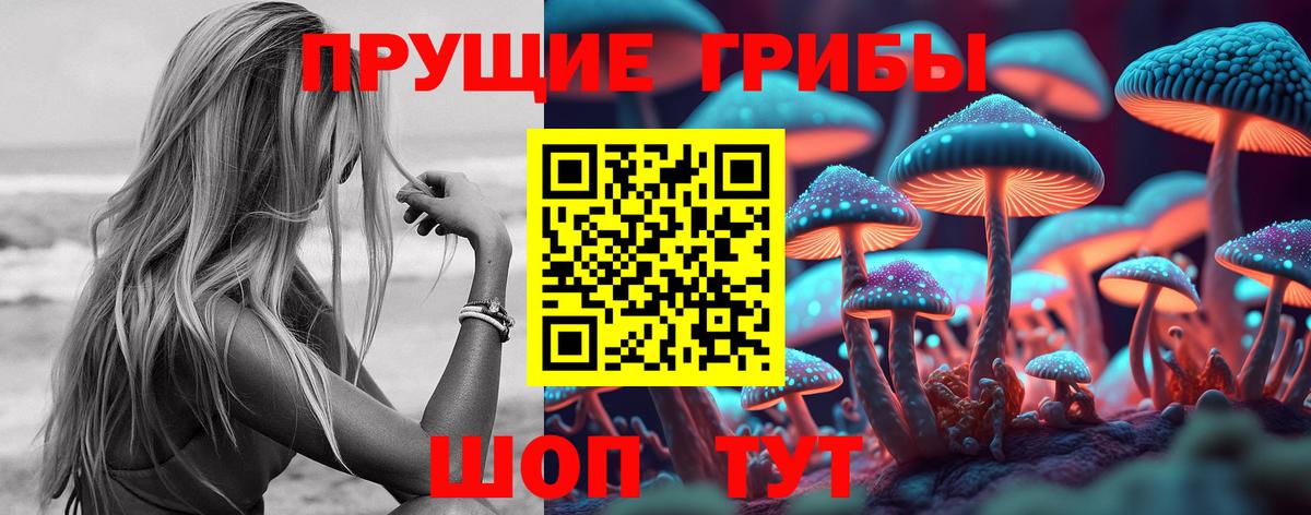 Галлюциногенные грибы прущие грибы  Галлюциногенные грибы MAGIC MUSHROOMS  где купить наркоту  Вход с VPN  Алушта 