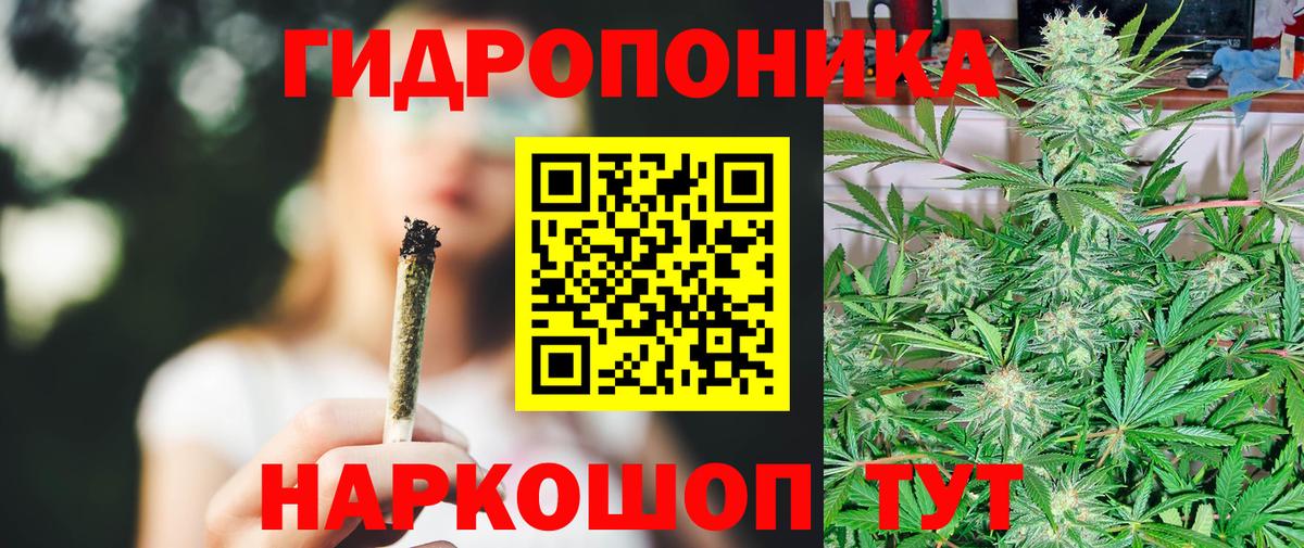 Алушта  Бошки марихуана марихуана  Вход с VPN  Конопля White Widow  Канабис ГИДРОПОН 